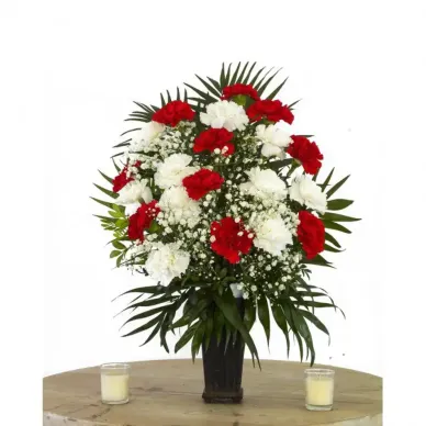 Comprar Cono de flor natural a Barcelona | TOTS SANTS