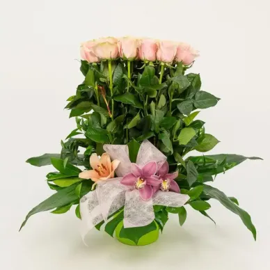 Compra Vertical de 20 Roses a Barcelona | Centres de Flors 2