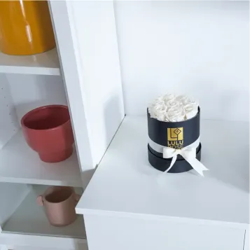 Comprar Caja de Rosas Preservadas LULU Rose en Barcelona | Flores Artificiales o Liofilizadas