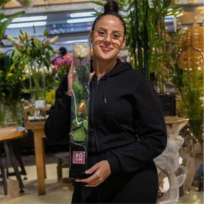 Comprar Tallo de Rosa Preservada en Barcelona | Flores Artificiales o Liofilizadas