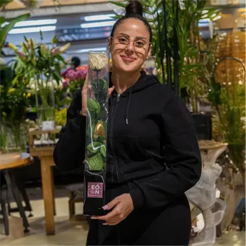 Compra Tija de Rosa Presrevada a Barcelona | Flors Artificials o Liofilitzades