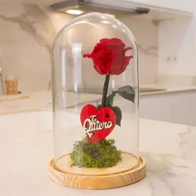 Compra Cúpula de Rosa Liofilitzada a Barcelona | Flors Artificials o Liofilitzades