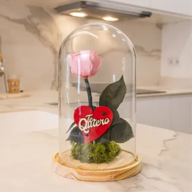 Compra Cúpula de Rosa Liofilitzada a Barcelona | Flors Artificials o Liofilitzades 2