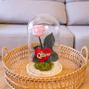 Compra Cúpula de Rosa Liofilitzada a Barcelona | Flors Artificials o Liofilitzades