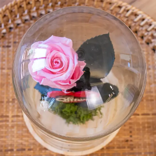 Comprar Cúpula de Rosa Liofilizada en Barcelona | Flores Artificiales o Liofilizadas