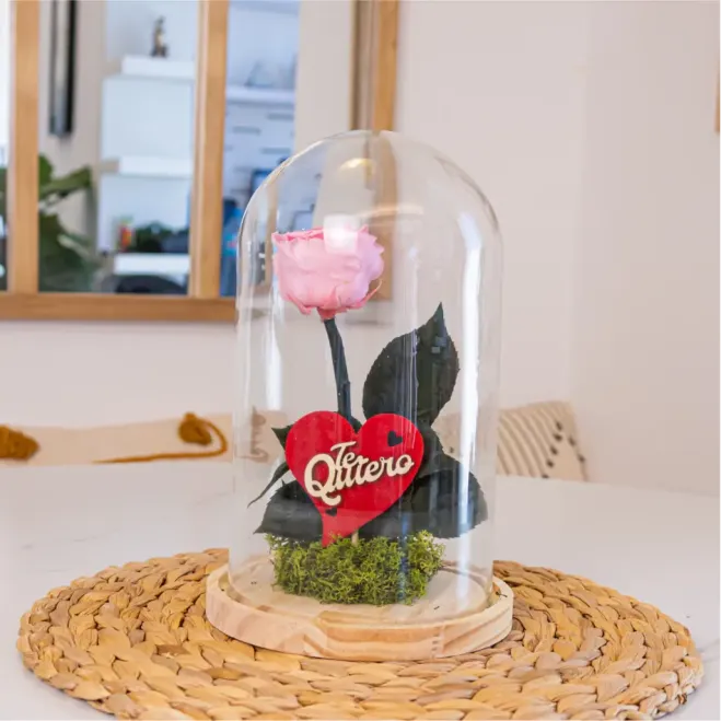 Comprar Cúpula de Rosa Liofilizada en Barcelona | Flores Artificiales o Liofilizadas
