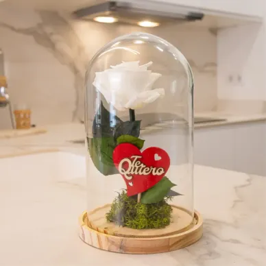 Comprar Cúpula de Rosa Liofilizada en Barcelona | Flores Artificiales o Liofilizadas 2