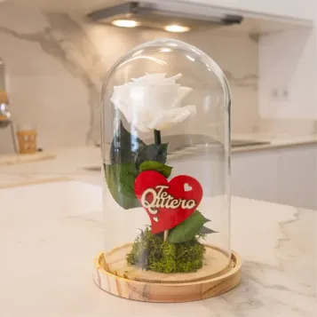 Compra Cúpula de Rosa Liofilitzada a Barcelona | Flors Artificials o Liofilitzades