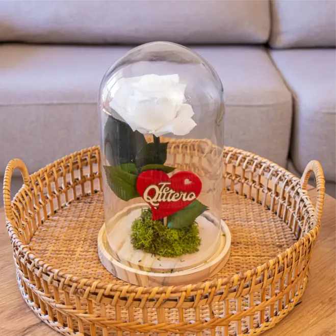 Compra Cúpula de Rosa Liofilitzada a Barcelona | Flors Artificials o Liofilitzades