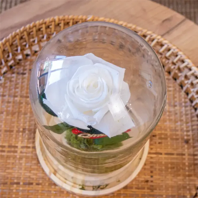 Compra Cúpula de Rosa Liofilitzada a Barcelona | Flors Artificials o Liofilitzades