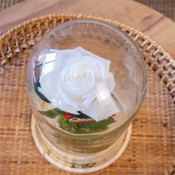 Compra Cúpula de Rosa Liofilitzada a Barcelona | Flors Artificials o Liofilitzades