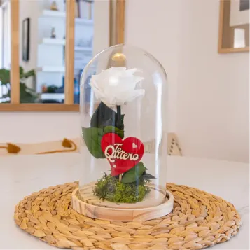 Compra Cúpula de Rosa Liofilitzada a Barcelona | Flors Artificials o Liofilitzades