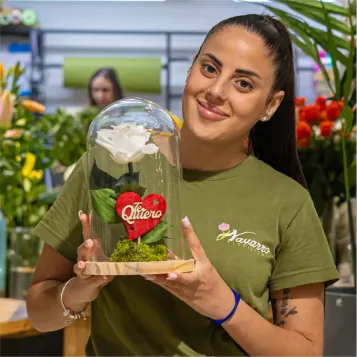 Comprar Cúpula de Rosa Liofilizada en Barcelona | Flores Artificiales o Liofilizadas