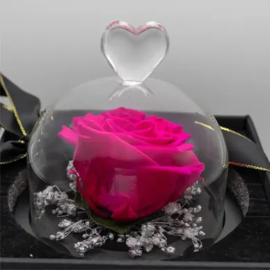 Compra Mini Cúpula de Rosa Liofilitzada a Barcelona | Flors Artificials o Liofilitzades