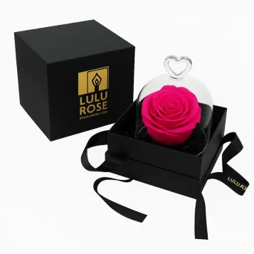 Comprar Mini Cúpula de Rosa Liofilizada en Barcelona | Flores Artificiales o Liofilizadas