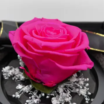 Compra Mini Cúpula de Rosa Liofilitzada a Barcelona | Flors Artificials o Liofilitzades