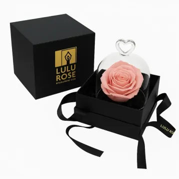 Comprar Mini Cúpula de Rosa Liofilizada en Barcelona | Flores Artificiales o Liofilizadas