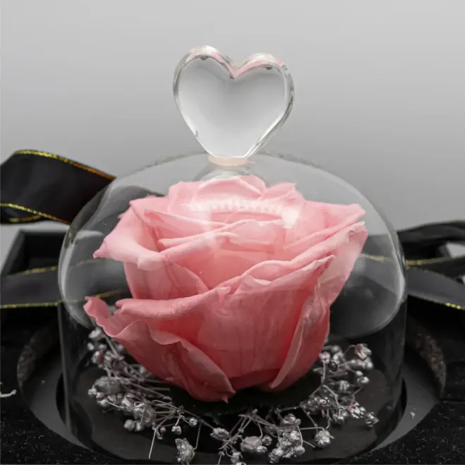 Comprar Mini Cúpula de Rosa Liofilizada en Barcelona | Flores Artificiales o Liofilizadas