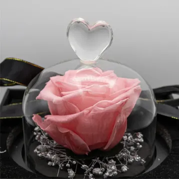 Comprar Mini Cúpula de Rosa Liofilizada en Barcelona | Flores Artificiales o Liofilizadas