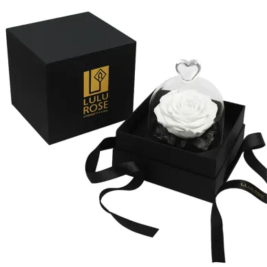 Compra Mini Cúpula de Rosa Liofilitzada a Barcelona | Flors Artificials o Liofilitzades 2