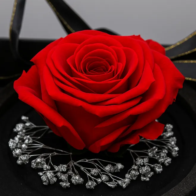 Compra Mini Cúpula de Rosa Liofilitzada a Barcelona | Flors Artificials o Liofilitzades