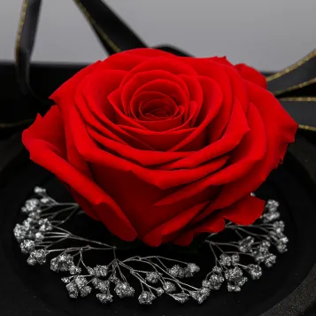 Comprar Mini Cúpula de Rosa Liofilizada en Barcelona | Flores Artificiales o Liofilizadas