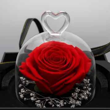 Comprar Mini Cúpula de Rosa Liofilizada en Barcelona | Flores Artificiales o Liofilizadas