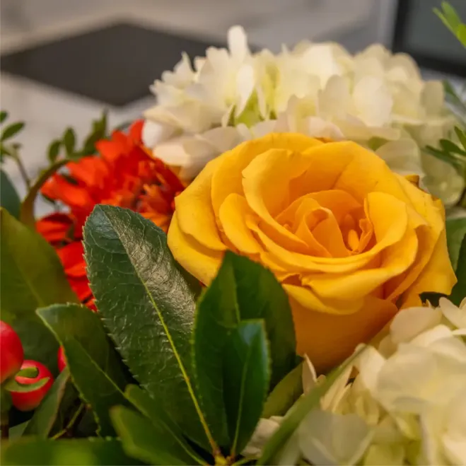 Compra Ram d'Hortènsies Alegria Viva a Barcelona | Rams de Flors