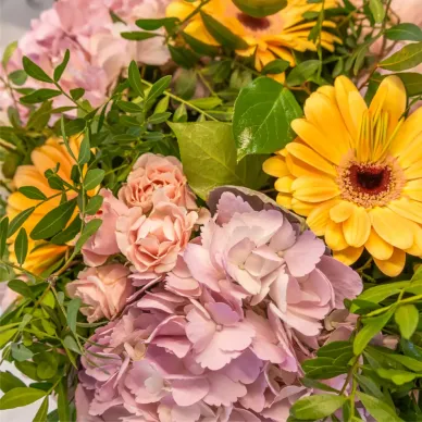 Compra Ram d'Hortènsies Brisa Delicada a Barcelona | Rams de Flors 2