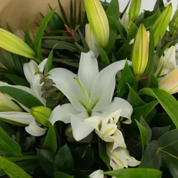 Compra Ram de Lilium Blanc a Barcelna | Rams de Flors