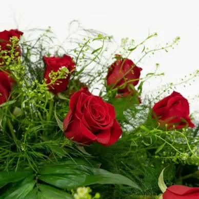 Compra Coixí de Roses a Barcelona | Flors per a Difunts 2