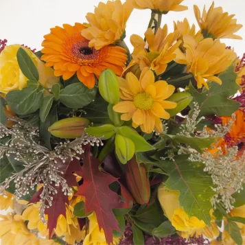 Compra Mini Gerro Tardorenc a Barcelona | Flors de Tardor