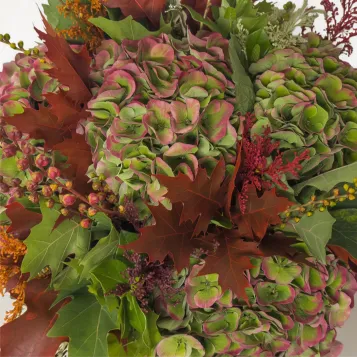 Compra Ram d'Hortènsies de Tardor a Barcelona | Flors de Tardor