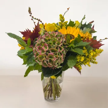 Compra Ram d'Hortènsies i Girasol a Barcelona | Flors de Tardor