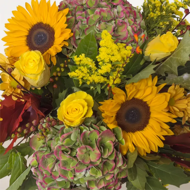 Comprar Ramo de Hortensias y Girasol en Barcelona | Flores de Otoño