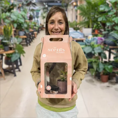 Comprar Caja regalo con Planta y Esencias aromáticas en Barcelona | Plantas de Interior