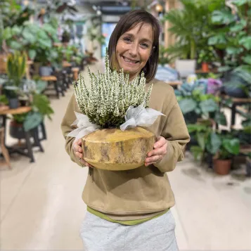 Compra Composició Rústica de Callunes a Barcelona | Grups de Plantes