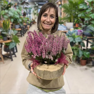 Compra Composició Rústica d'Èriques amb base de fusta a Barcelona | Grups de Plantes 2