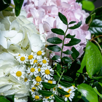 Compra Ramo Romántico de Hortensias en Barcelona | Ramos de Flores 2