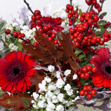 Minigerro de flor nadalenca | Arranjament natural i festiu