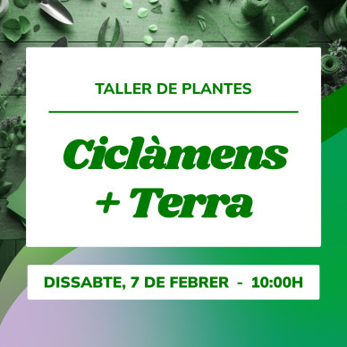 Taller de plantes d’hivern | Crea la teva barreja de terres ideal 2