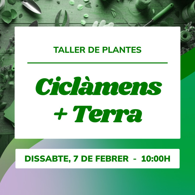Taller de plantas de invierno | Aprende a crear tu mezcla de tierras