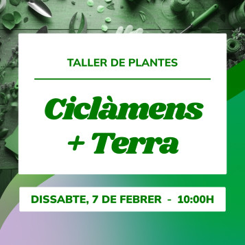 Taller de plantes d’hivern | Crea la teva barreja de terres ideal