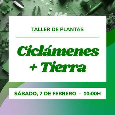 Taller de plantas de invierno | Aprende a crear tu mezcla de tierras