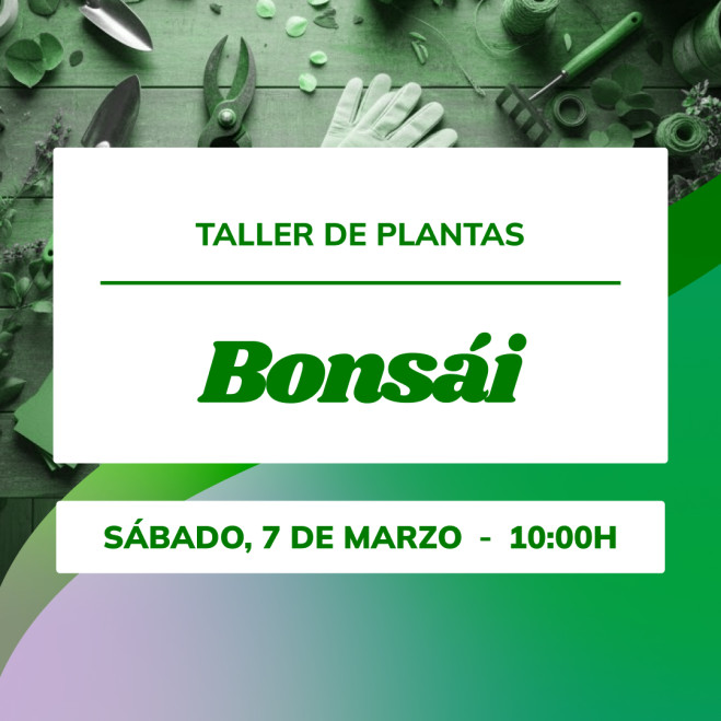 Taller d’iniciació al bonsai | Aprèn amb Mistral Bonsai