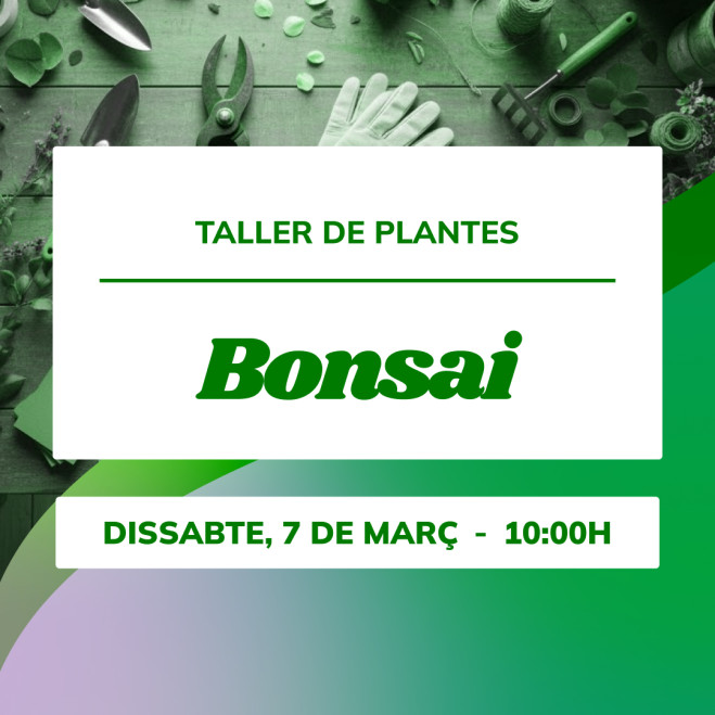 Taller d’iniciació al bonsai | Aprèn amb Mistral Bonsai