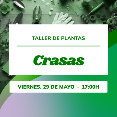 Taller de plantas crasas | Diseña tu propia composición decorativa