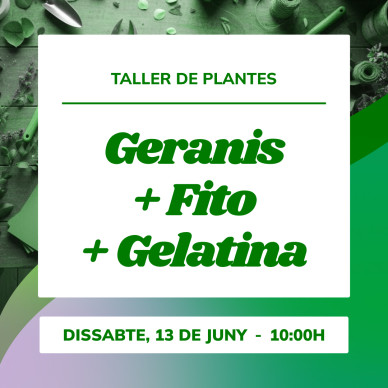 Taller de geranios | Planta, aprende cuidados y prepara tu balcón