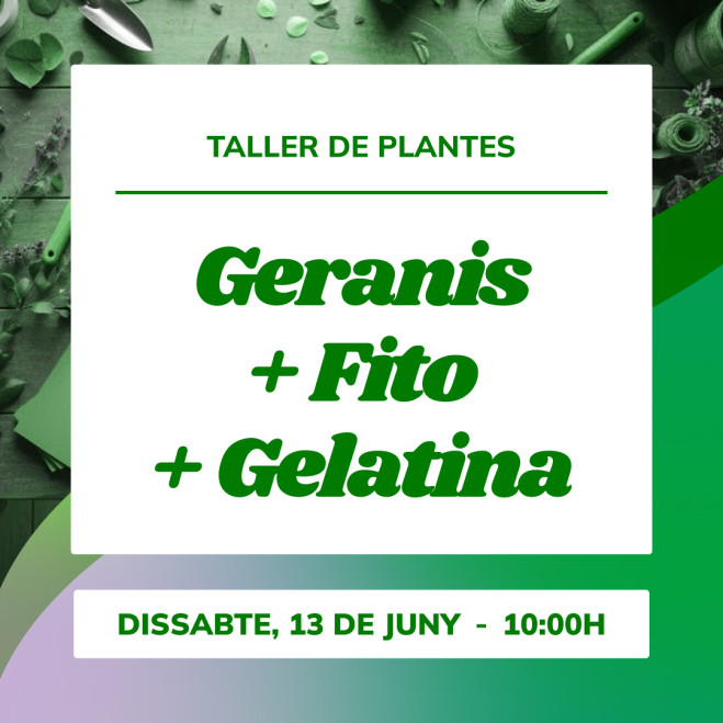 Taller de geranios | Planta, aprende cuidados y prepara tu balcón