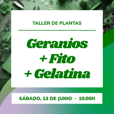 Taller de geranios | Planta, aprende cuidados y prepara tu balcón 2